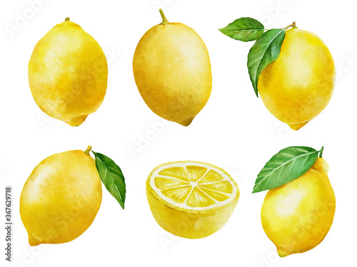 Watercolor banner of citrus fruits and leaves isolated on white background. Illustration for design wedding invitations, greeting cards, postcards.