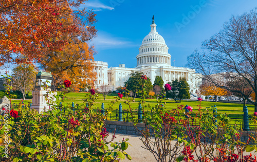 US Capitol building framed by roses and trees.Washington DC.USA © Vadim