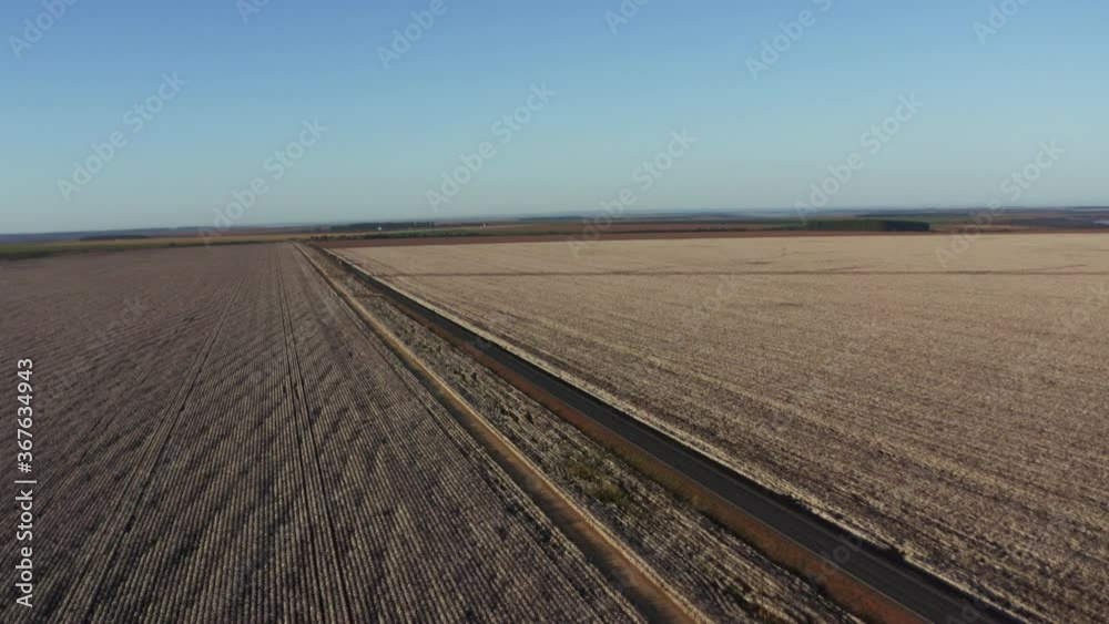 Tranquil aerial landscape shot of a country road passing between two large cotton fields in the countryside. Tranquil aerial landscape shot of a country road passing between two large cotton fields in the countryside.