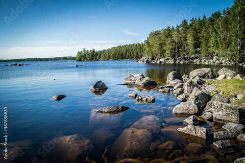 Canvas Print Sweden / Swedish Nature Summer Sun