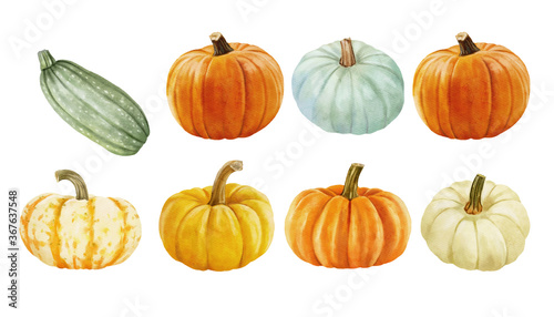 white and orange pumpkin, leaves on isolated white background, autumn set of elements on isolated white background, watercolor illustration, hand drawing