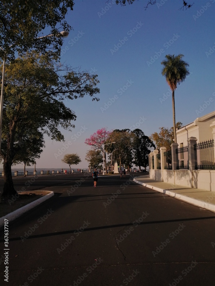 Avenida Costanera en Corrientes , árboles y Colegio General San Martín