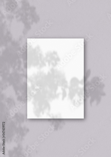 The vertical sheet of white textured A4 paper on the grey wall background. Mockup overlay with the plant shadows. Natural light casts shadows from an exotic plant