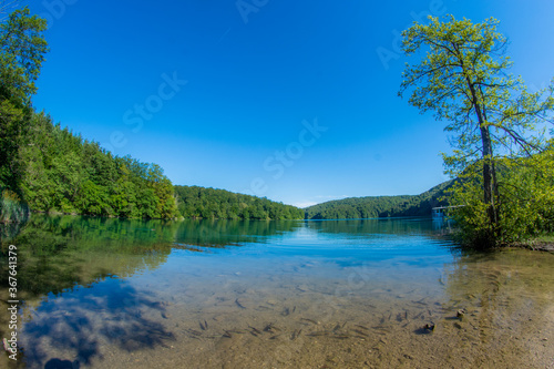Fototapeta Naklejka Na Ścianę i Meble -  lake and forest in Croatia 