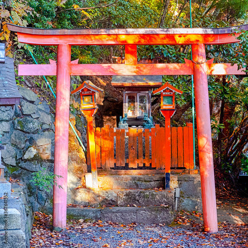 Japan Travel Destnations. Traditional Red Torii Gates with Wooden Shrine at Koyasan Mountain in Japan in Fall. photo