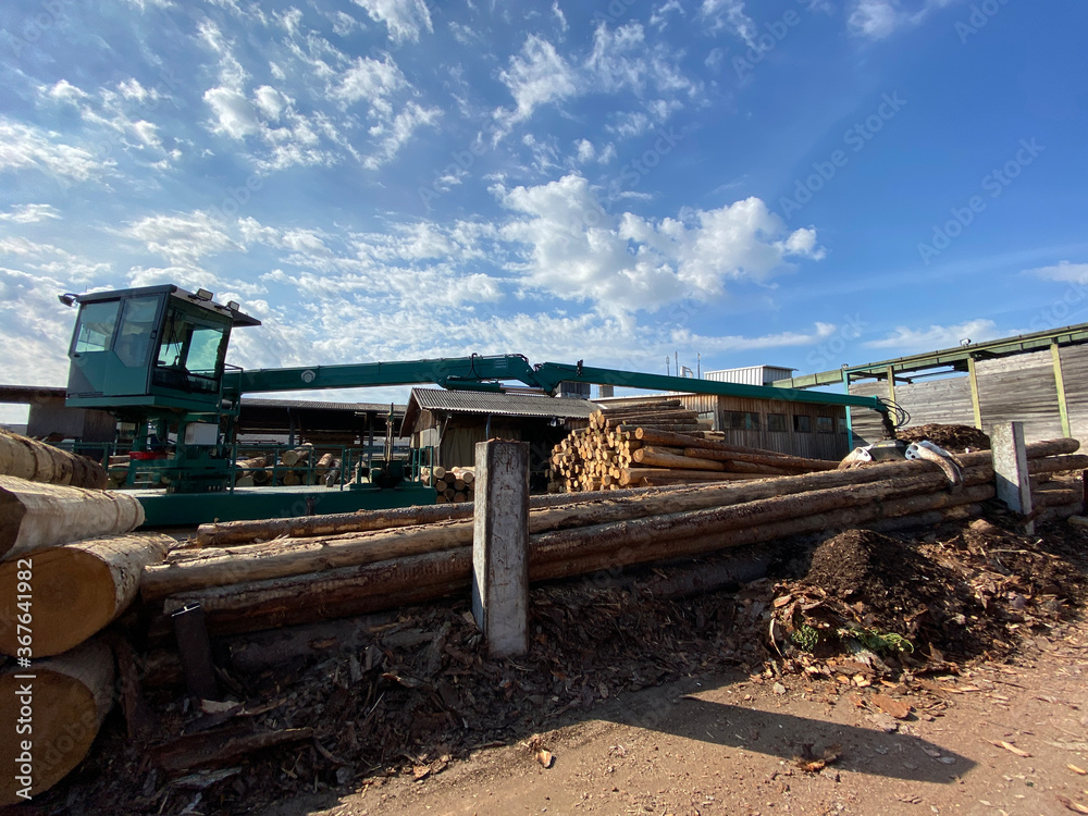 Fototapeta premium Holzwirtschaft - Kran zum Verladen von Holz
