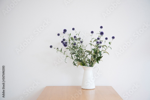 花　植物　白い花瓶　白背景　木製テーブルと観葉植物　アザミ　青　紫　爽やか　朝　おしゃれ　植物　雰囲気　背景素材　机　テーブル　コピースペース　文字スペース　余白　サイド光