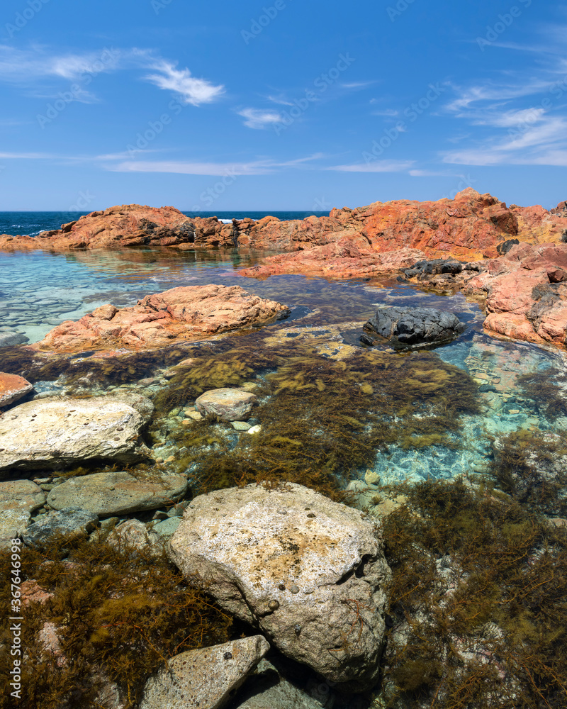 Fototapeta premium Swimming Hole