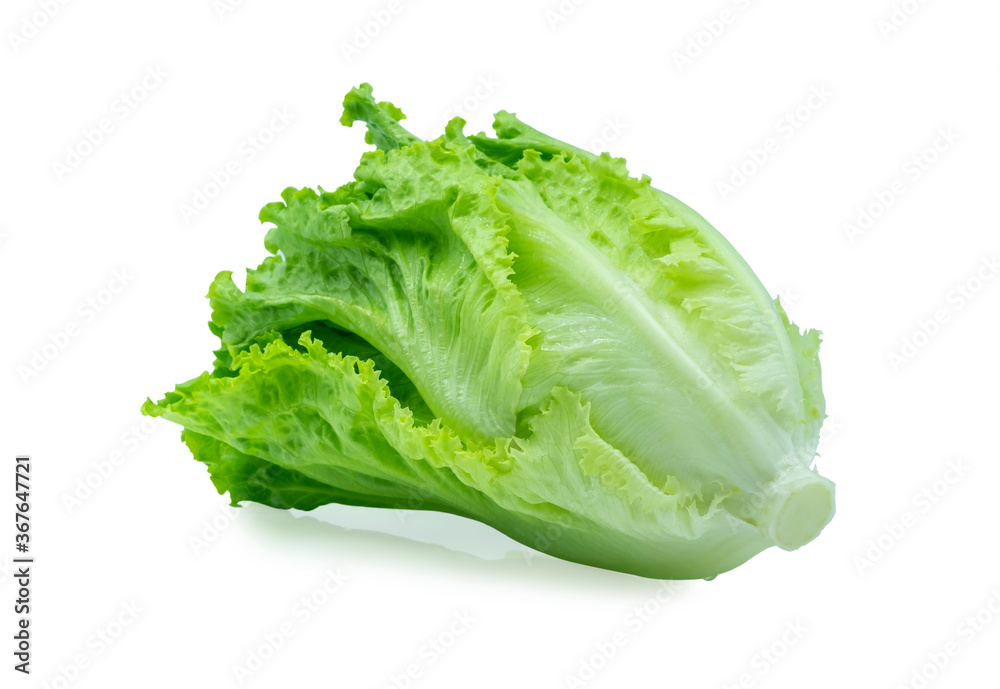 Fresh green Lettuce leaves, Salad leaf isolated on white background. Fresh green Lettuce leaves, Salad leaf isolated on white background.