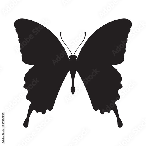 butter fly silhouette