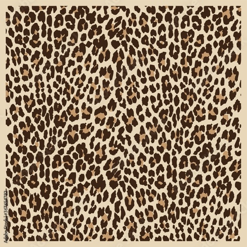 cheetah skin background