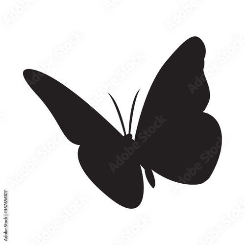 Photography silhouette of butterfly