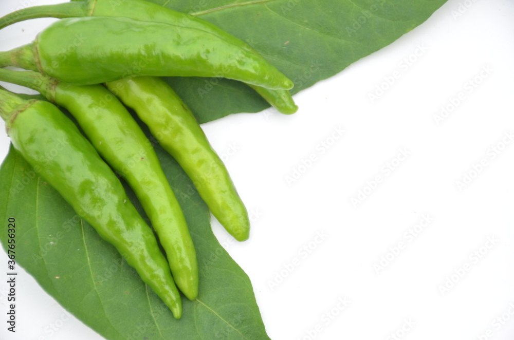 bunch the ripe green chilly with leaves isolated on white background bunch the ripe green chilly with leaves isolated on white background