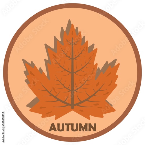 maple leaf