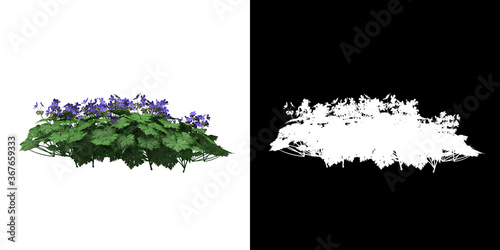 Front view of floral plant (Geranium Rozanne) png with alpha channel to cutout 3D rendering
