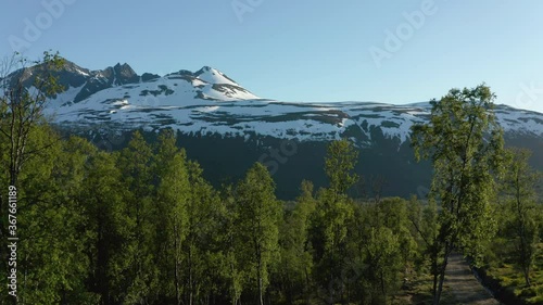 Aerial rising, drone shot low, over green forest, towards snowy mountain peaks, on a sunny, summer day, in the Lyngen alps, North Norway photo