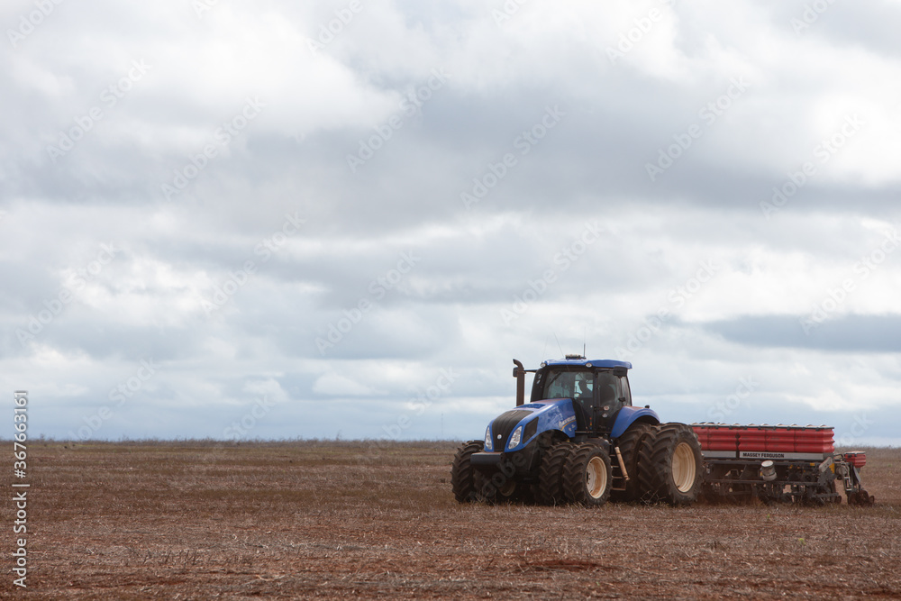 Fototapeta premium plowing machine harvesting on a sunny day