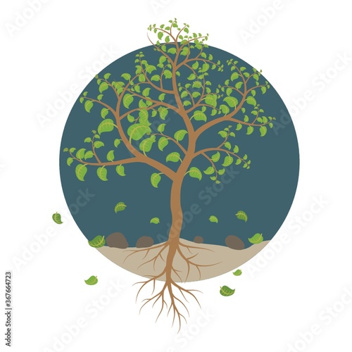 tree with fallen leaves