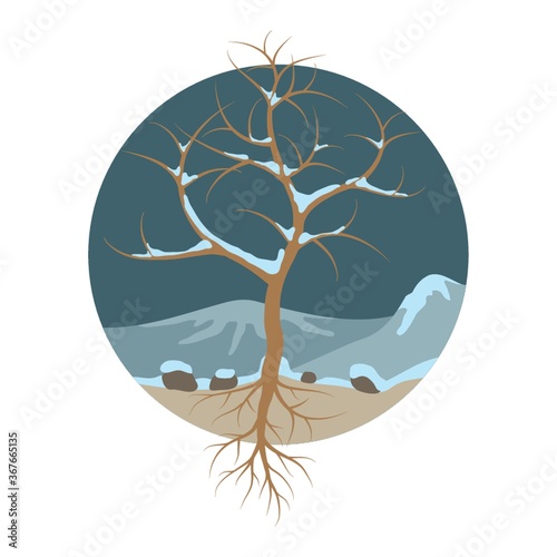 Bare winter tree