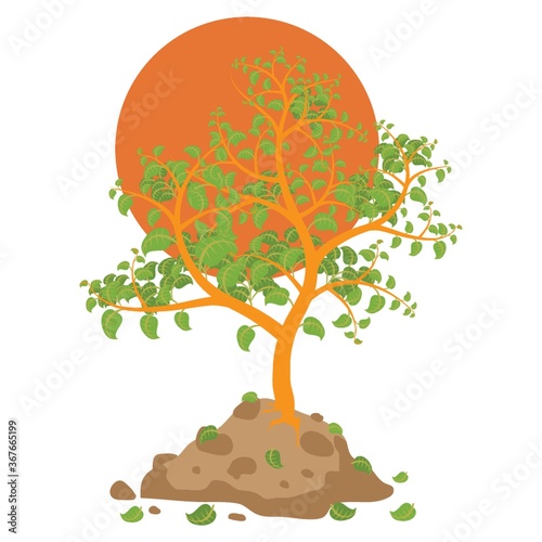 tree with fallen leaves