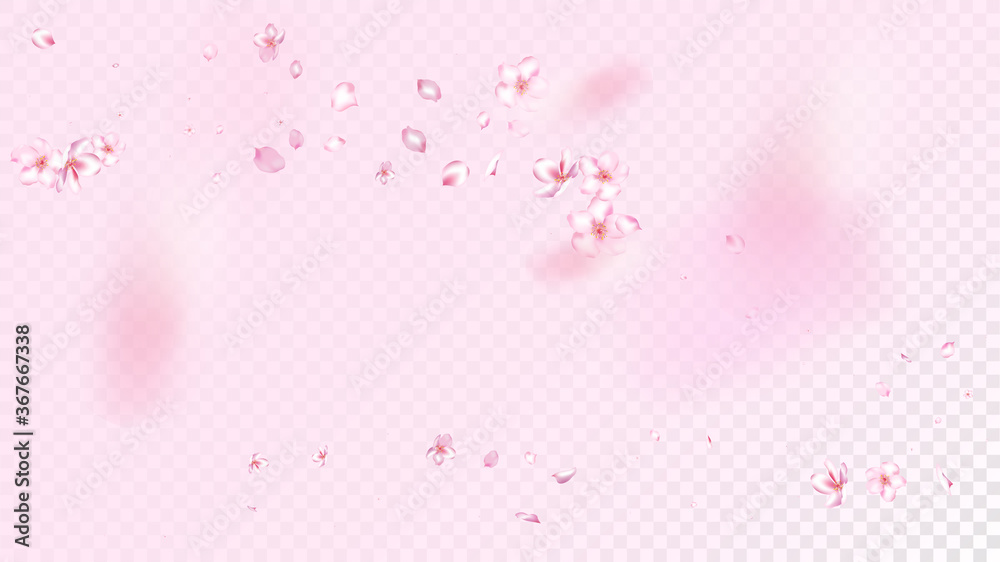Nice Sakura Blossom Isolated Vector. Beautiful Showering 3d Petals Wedding Border. Japanese Bokeh Flowers Illustration. Valentine, Mother's Day Realistic Nice Sakura Blossom Isolated on Rose