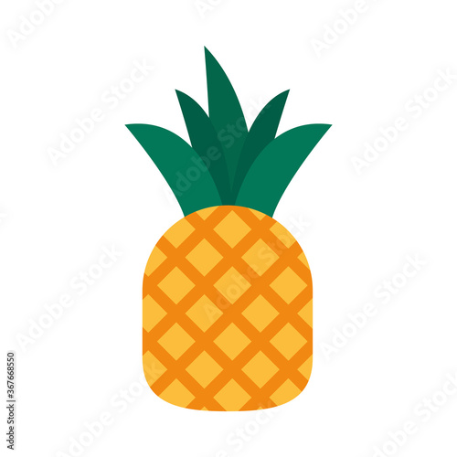 pineapple fruit icon, flat style