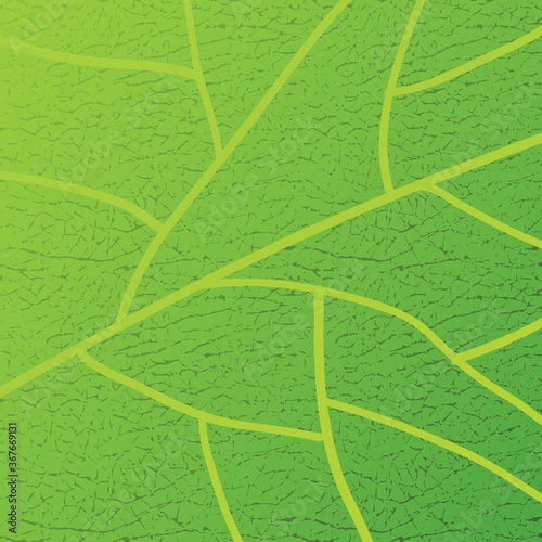 textured background with leave pattern