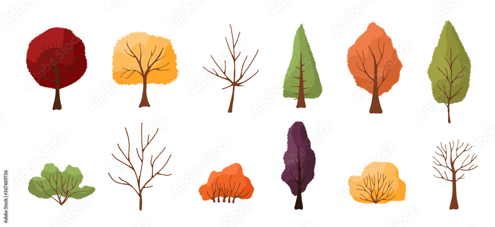 Obraz Set of colorful autumn trees and bushes. Isolated on white background. Simple design. Vector illustration in flat style.