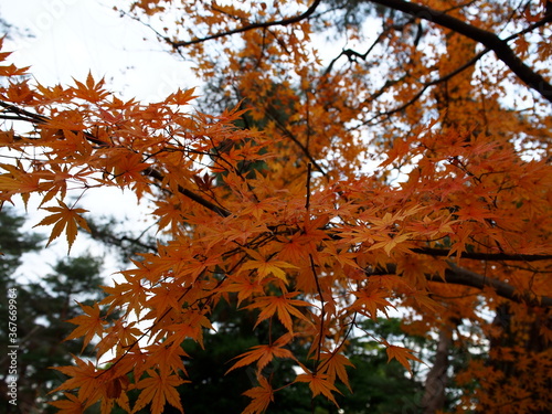 金沢 兼六園