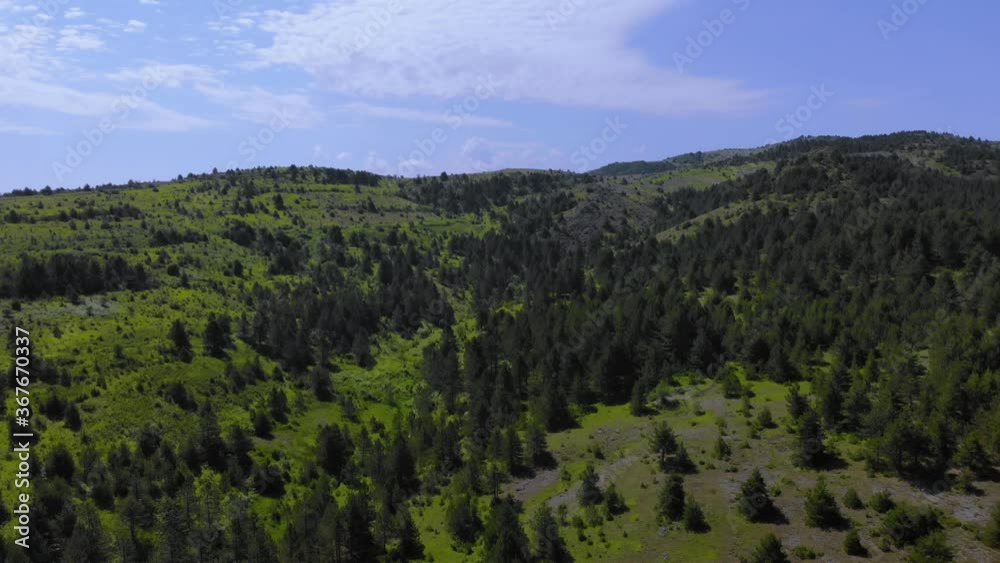 Spruce and pine trees forest on beautiful mountains with grassy meadows on bright sky of the morning in Albania Spruce and pine trees forest on beautiful mountains with grassy meadows on bright sky of the morning in Albania