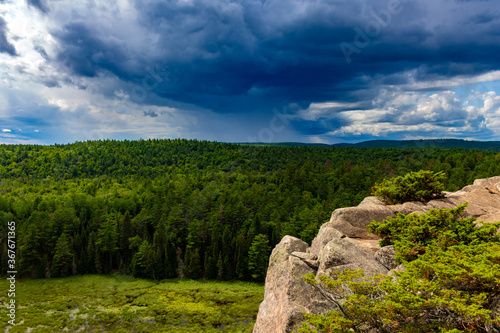 Rain on the Horizon Over a Vast Forest