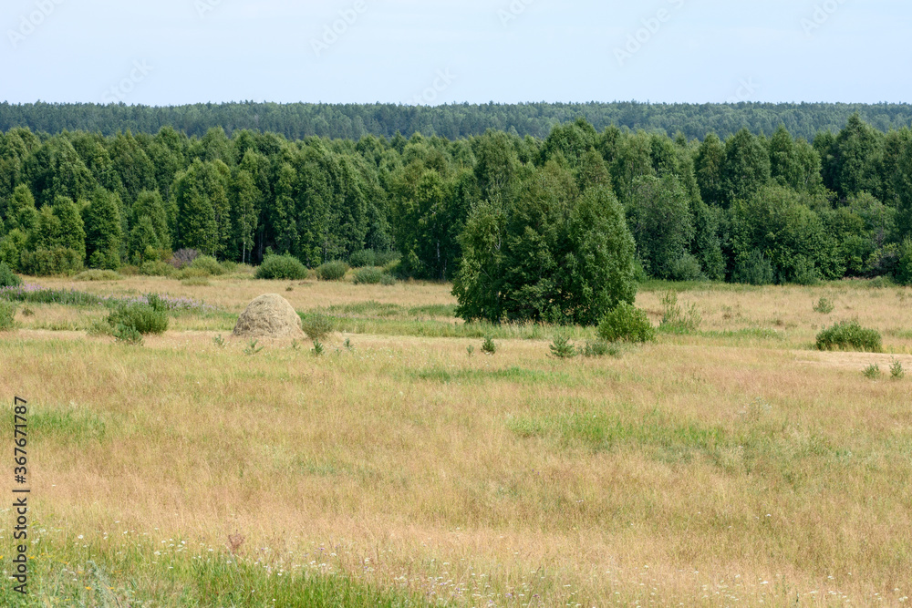 Landscape. Beyond the mown meadow, you can see a haystack and a forest in the background.