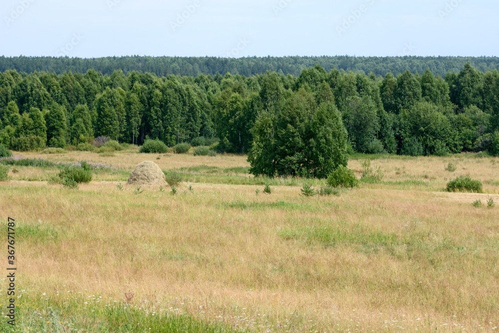 Landscape. Beyond the mown meadow, you can see a haystack and a forest in the background. Landscape. Beyond the mown meadow, you can see a haystack and a forest in the background.