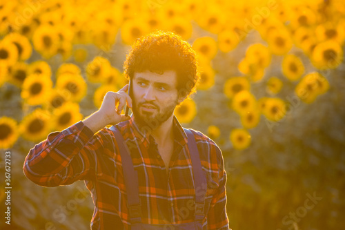 Young farmer standing in the middle of a golden sunflower field talking on phone during a majestic sunrise.