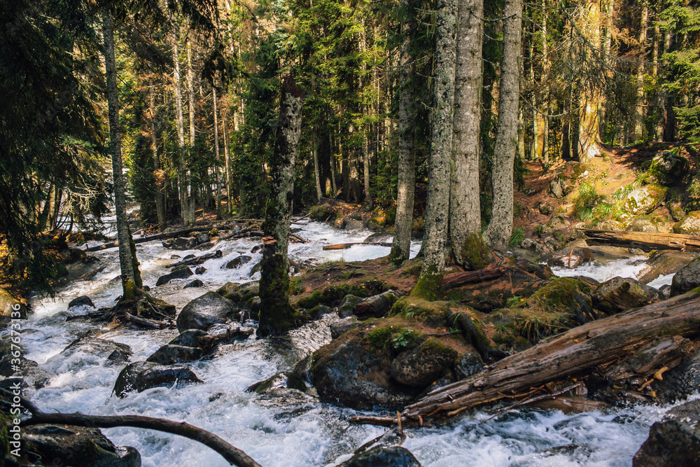 A clean river with stones leading through a mountain forest A clean river with stones leading through a mountain forest