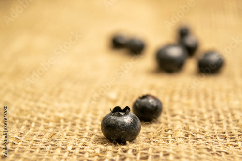 Blueberries scattered on a background of homespun fabric with a rough texture. Close up.