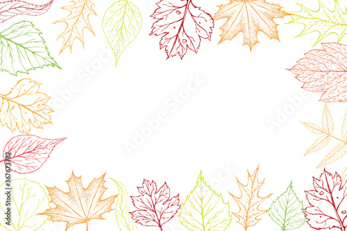 vector square frame with autumn leaves. fall background on white. Autumn banner  poster  flyer label template greeting card design great for print  invitation  promotion and Thanksgiving celebration.