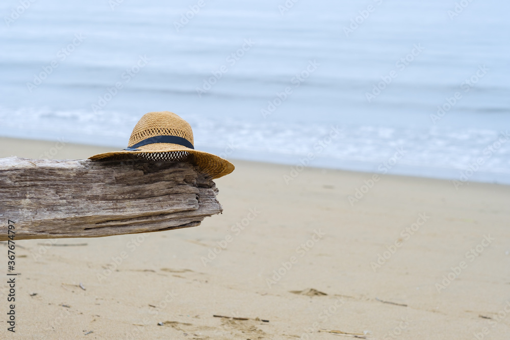 海と流木と麦わら帽子