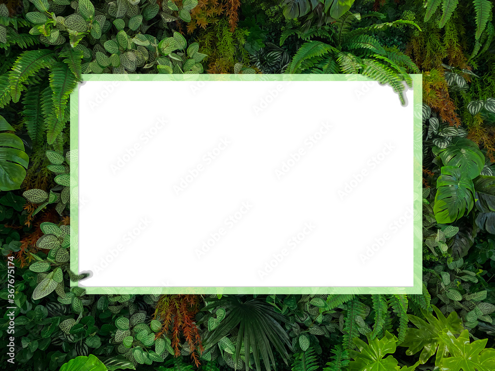 Beautiful nature background of tropical Leaves at garden. Beautiful nature background of tropical Leaves at garden.