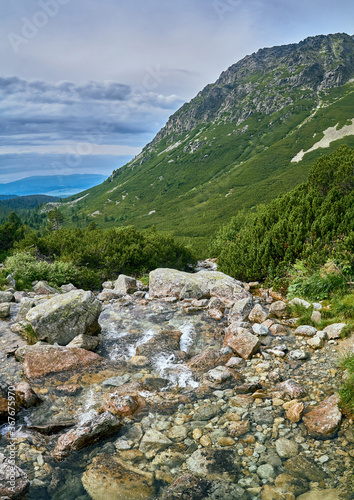 Mountain stream in High Tatras National Park, Slovakia, Europe. Beautiful world. © udmurd