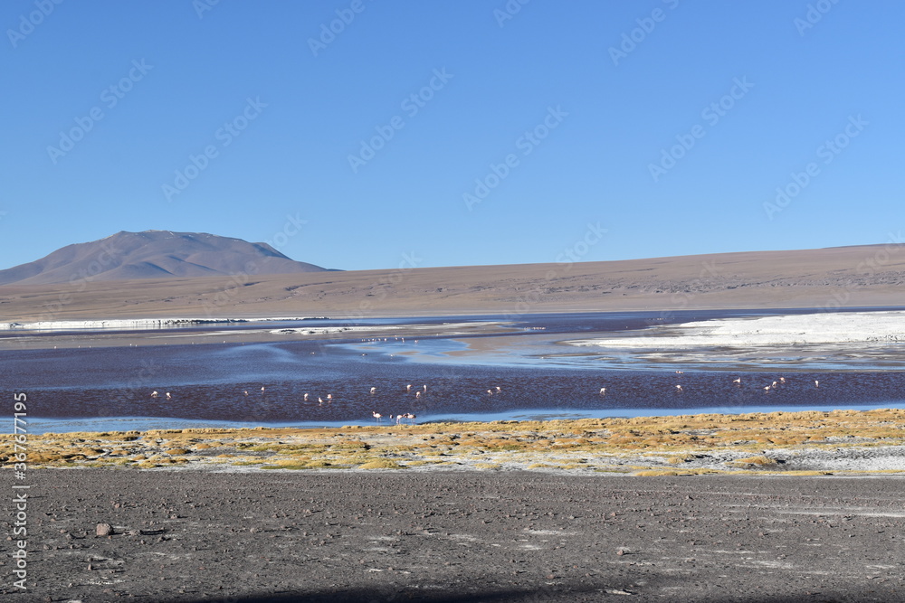 RIO ROJO, CON FLAMENCOS