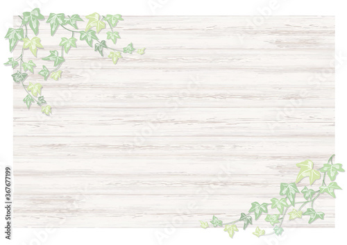 pale colour flame "Ivy plants"  手描き淡い色のアイビー　つた植物と白い木目調フレームのベクター素材