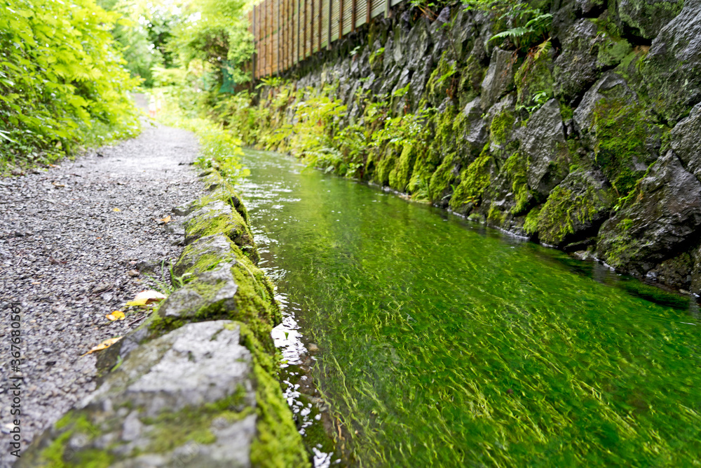 Obraz premium 田舎の小川