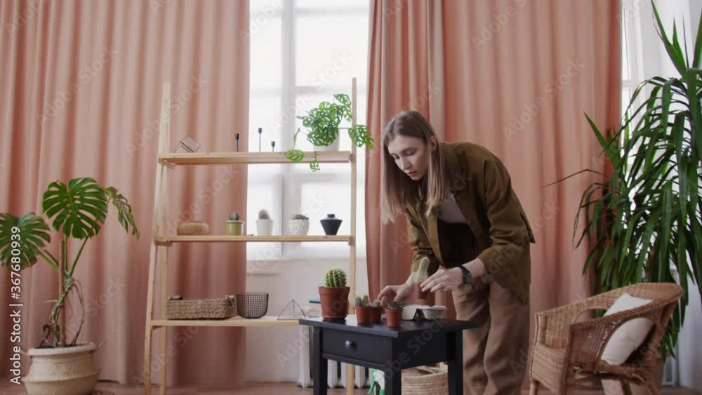 Young female florist watering her little cactuses at home Young female florist watering her little cactuses at home
