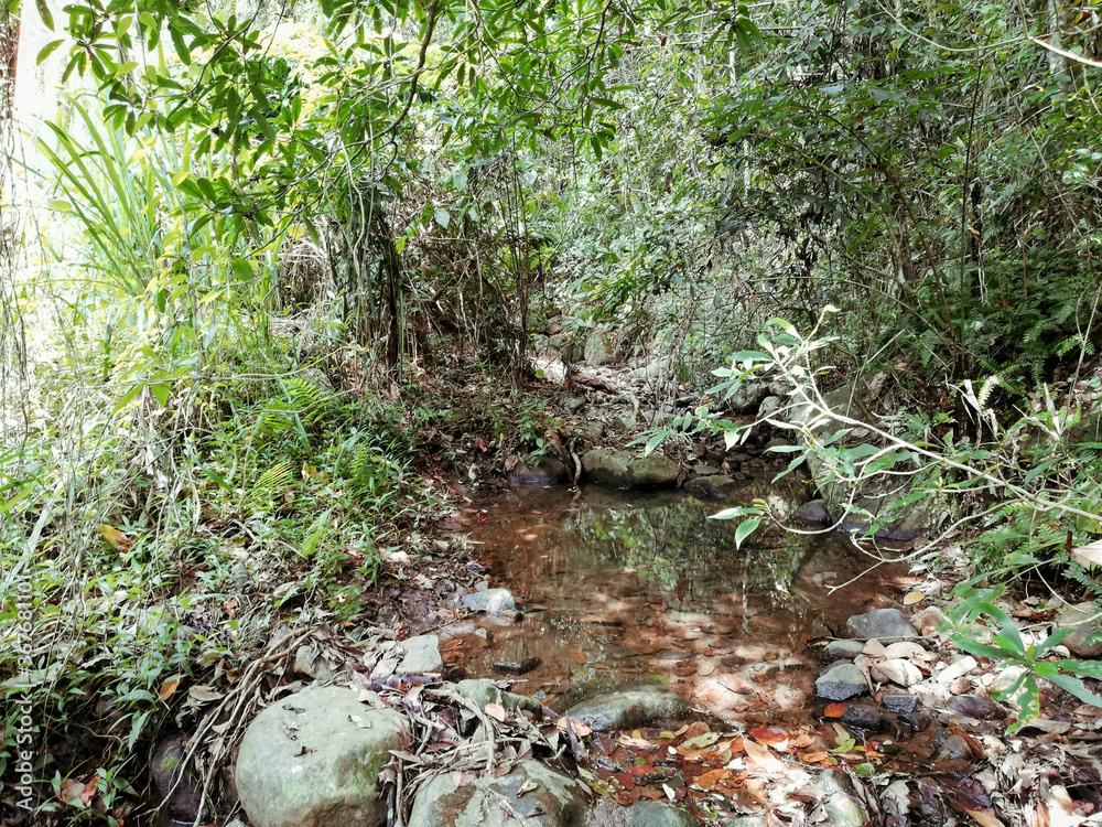Obraz premium Nature in Sri Lanka