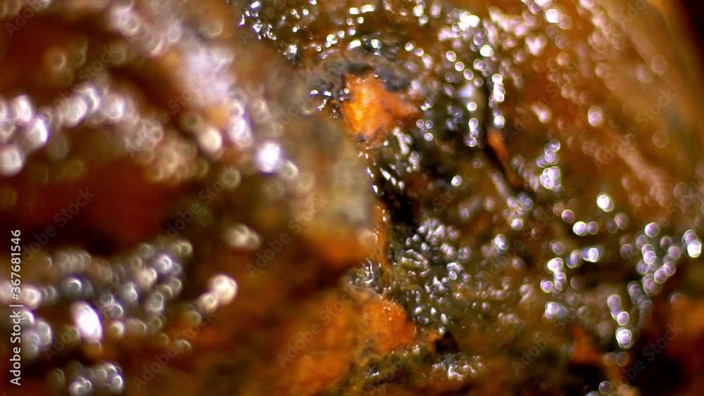 travelling out of Pig leg ham detailed macro shoot moving, where it is seen in the reflections of light on the black and brown skin of the Iberian pig . partial blur where details are shown. travelling out of Pig leg ham detailed macro shoot moving, where it is seen in the reflections of light on the black and brown skin of the Iberian pig . partial blur where details are shown.