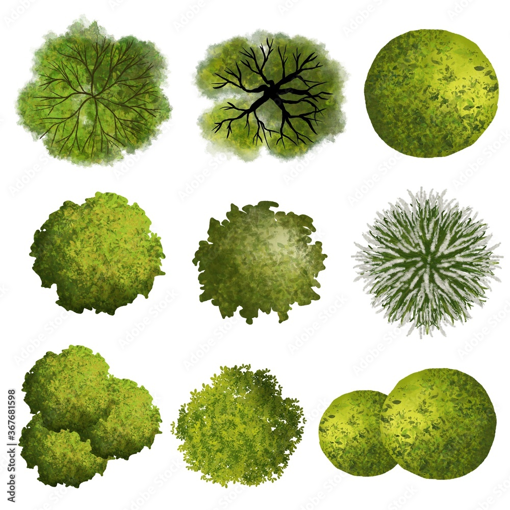 set of green grass, tree top View for landscape plan and architecture