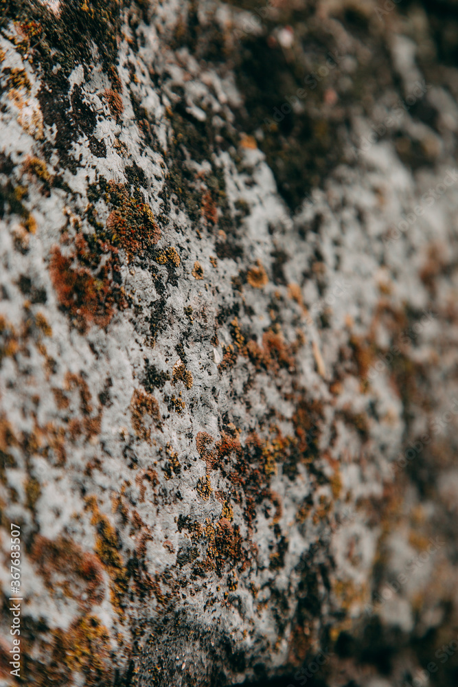An old medieval stone wall, grass and moss on it. Wallpaper, natural background, copy space, soft focus. An old medieval stone wall, grass and moss on it. Wallpaper, natural background, copy space, soft focus.