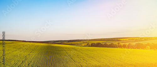Photo Beautiful summer landscape with fields and forest against the setting sun