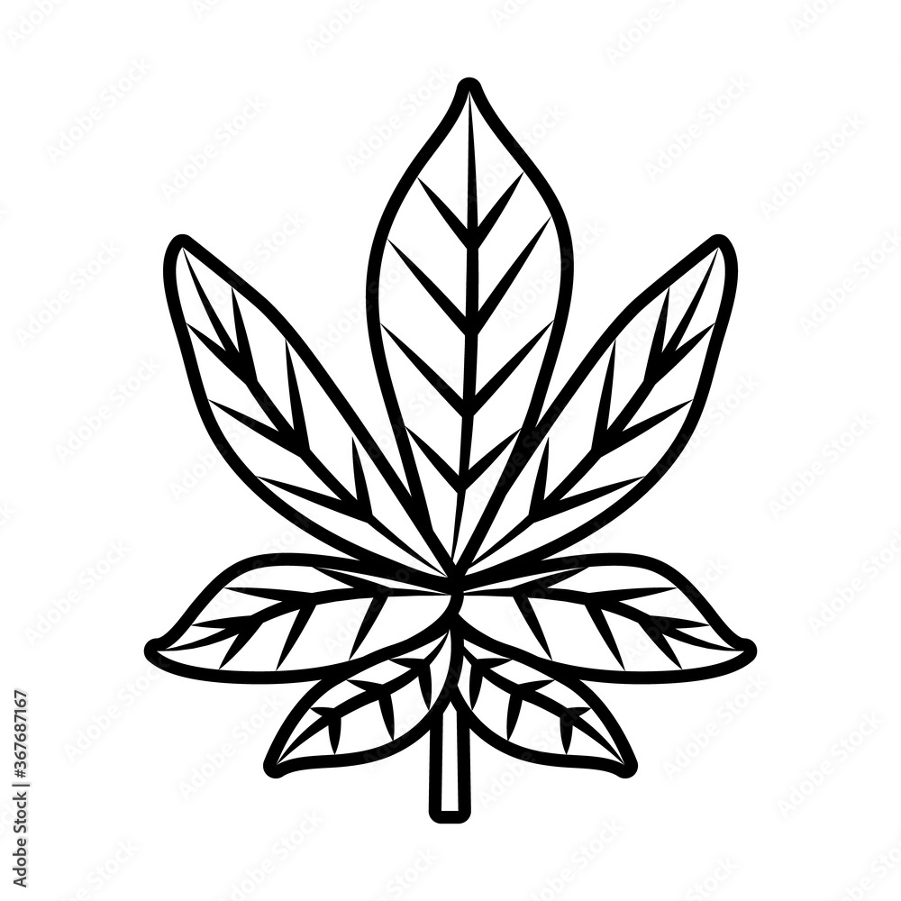 tropical leaf line style icon vector design